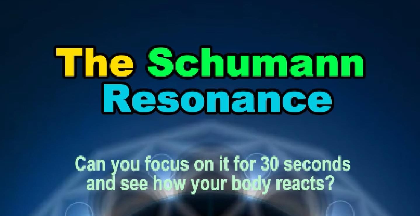 The Schumann Resonance