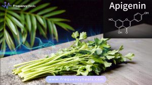 Apigenin