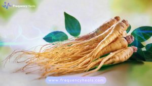 Ginseng