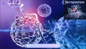 Serrapeptase