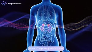 Cortisol Balance Frequency