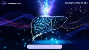 Milk Thistle Silybum Marianum