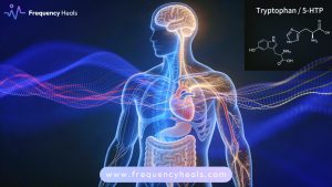 Tryptophan 5-HTP（5-Hydroxytryptophan）