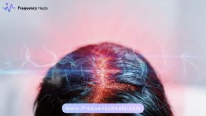 Scalp Circulation