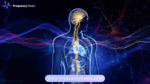 Vagus Nerve