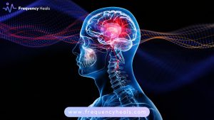 Brain Inflammation