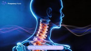 Cervical Spondylosis Support
