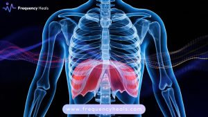Diaphragm Support