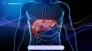 Fatty Liver