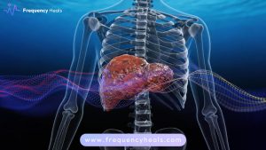 Fatty Liver Support