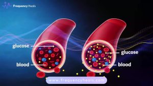 Glucose Balance Support