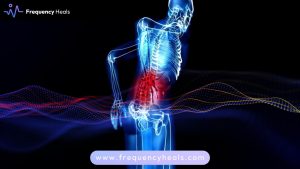 Lumbar Spine Support L3-L5
