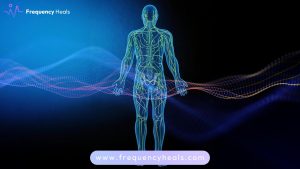 Lymph Drainage Support