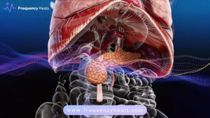 Pancreas Health