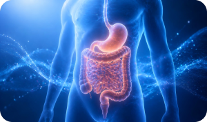 Digestive System