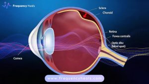 Retinal Detatchment