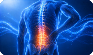 Spine & Nerve Pain