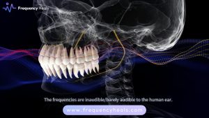 tooth regeneration