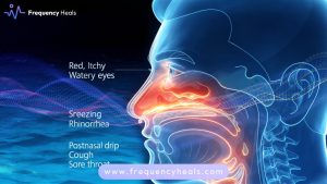 Allergic Rhinitis Relief