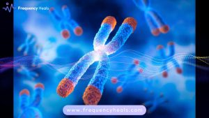 Telomere Length