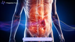 Hernia Support