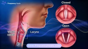 Vocal Cord Support