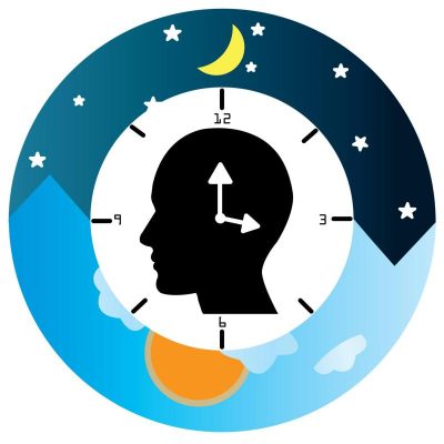 Circadian Rhythms